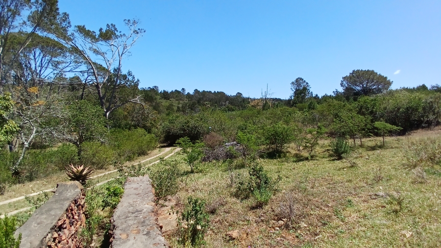 Commercial Property for Sale in Bathurst Rural Eastern Cape